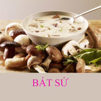 Bát sứ