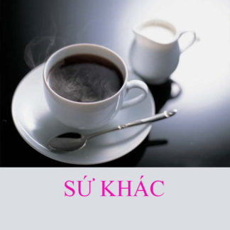 Các loại sứ khác